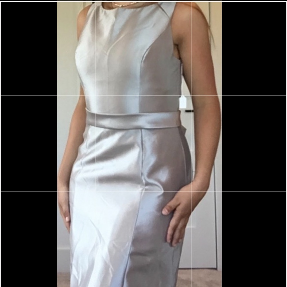 Gray Satin Dress (Never Worn!)